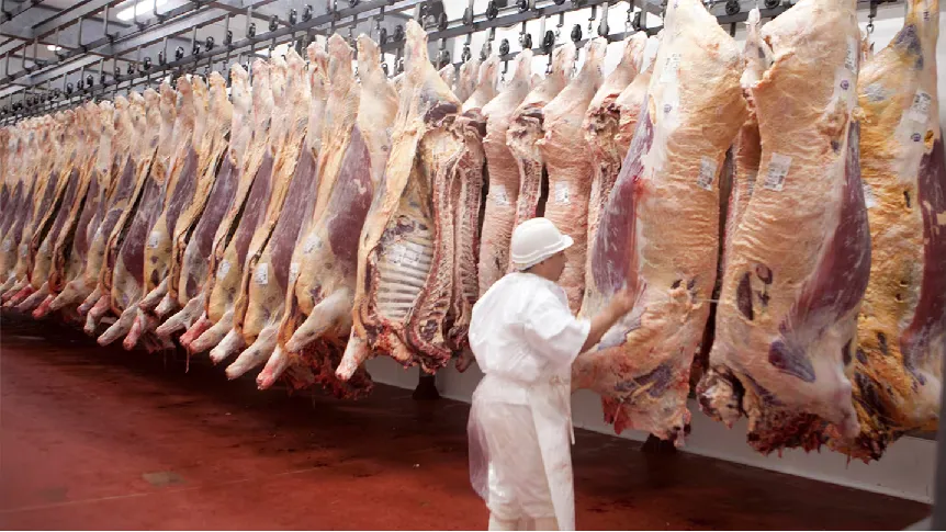 CN-carnes frigo