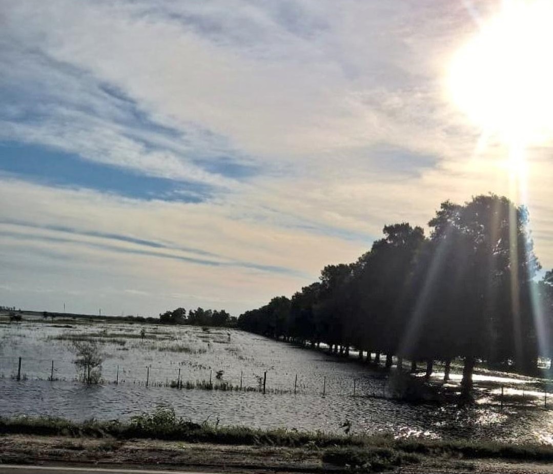 WhatsApp Image 2019-05-06 at 11.37.28 AM