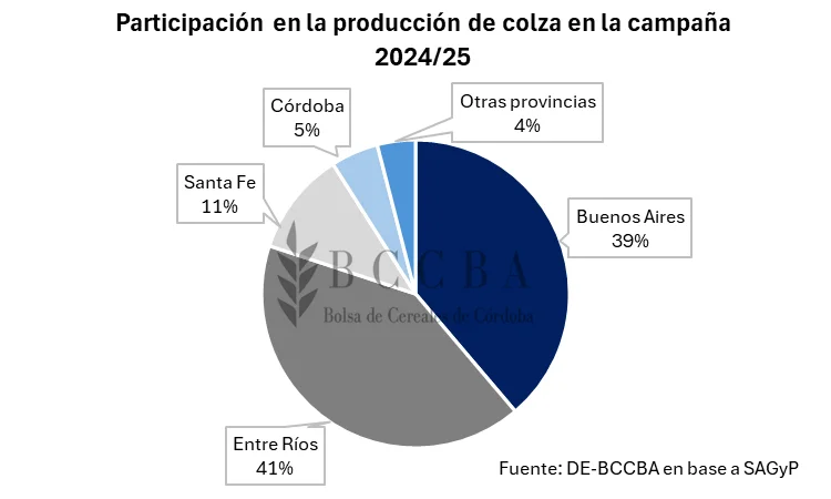 CN-BCBA 1