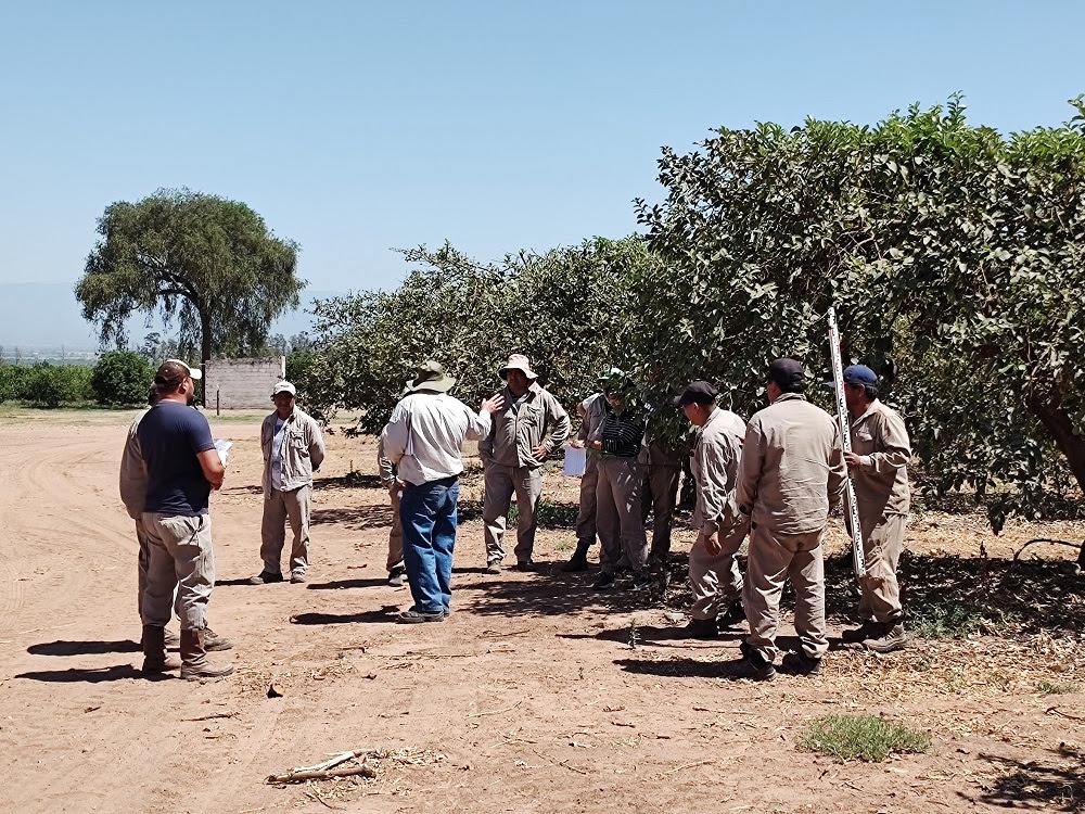 unnamed - 2023-12-13T162957.537