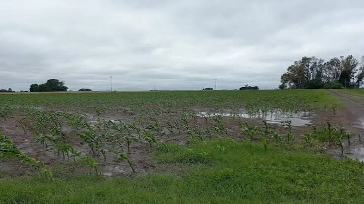 Lluvias