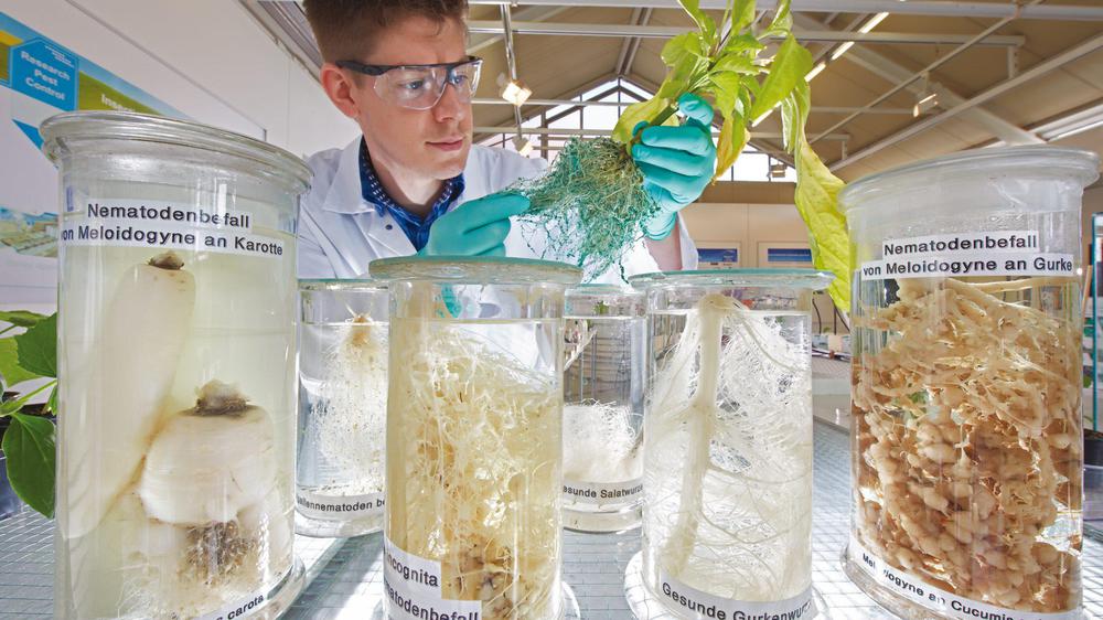 2019-8703-e1577462657364