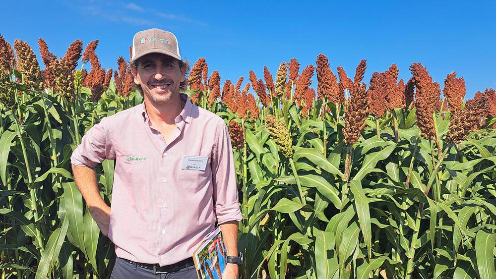 Federico Pisoni Director Operativo RAGT Semillas