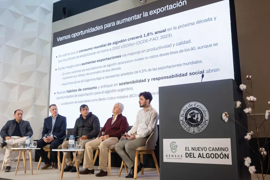 cn-algodon expositores