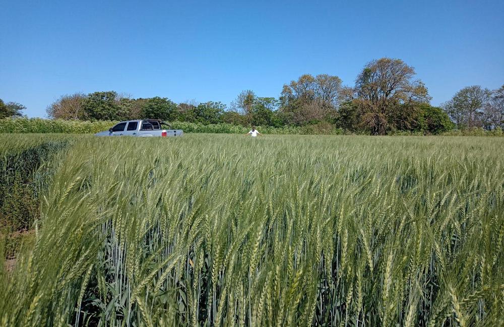 Lotes de Quirico en Entre Rios