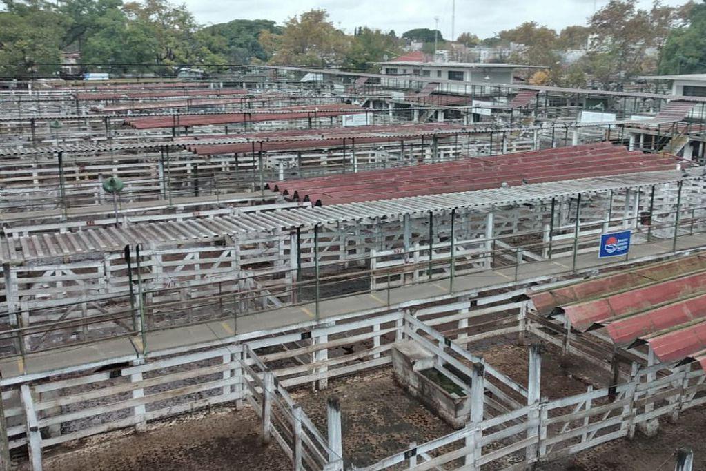 CN-corrales vacios.pg