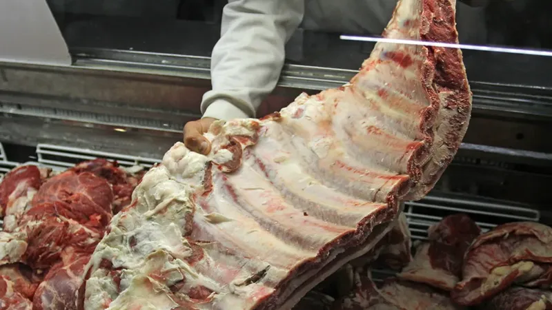 cn-carne hueso plano