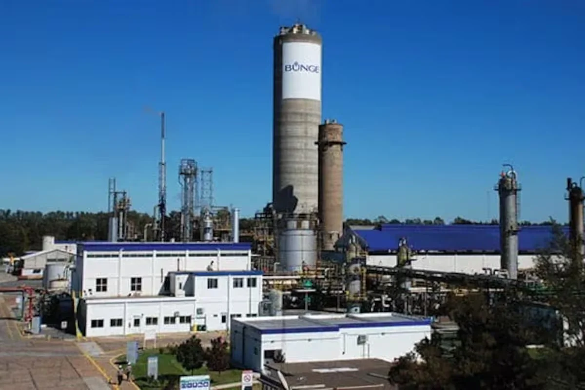 Bunge