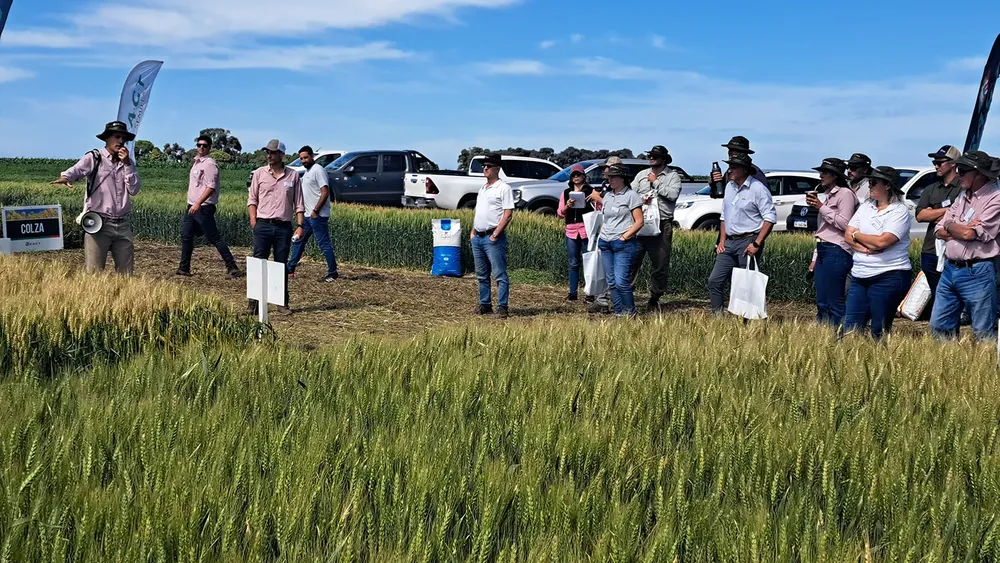 Marcos Kaspar Trigo en Rojas