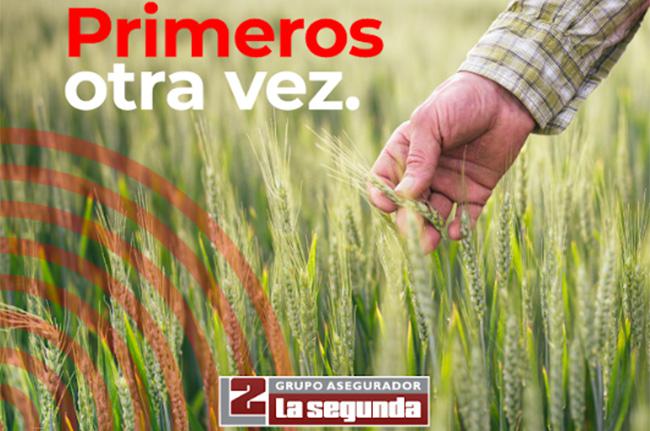 CN- La-Segunda-Ranking-