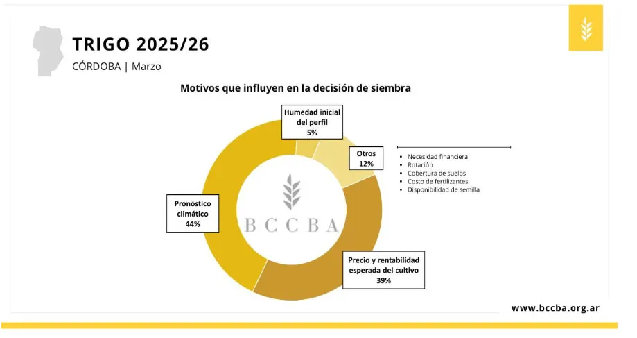 CN cuadro-trigo-proyecciones-2026-