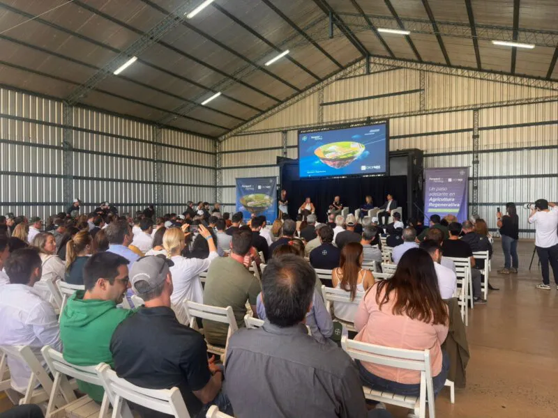 WhatsApp-Image-2024-11-07-at-14.04.37-2