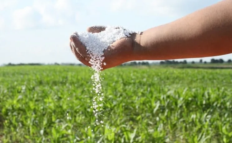 Fertilizantes