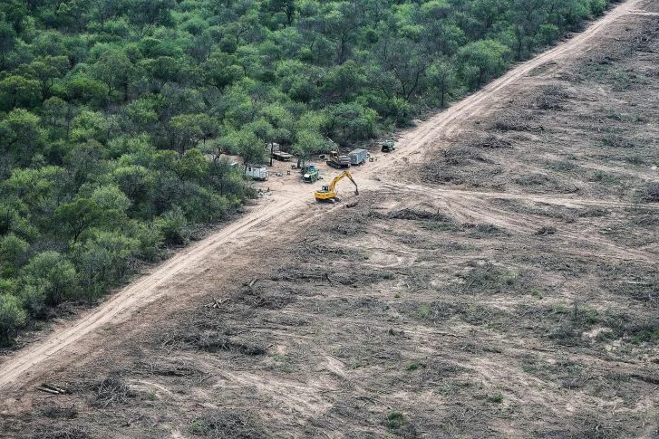 cn.ecocidio