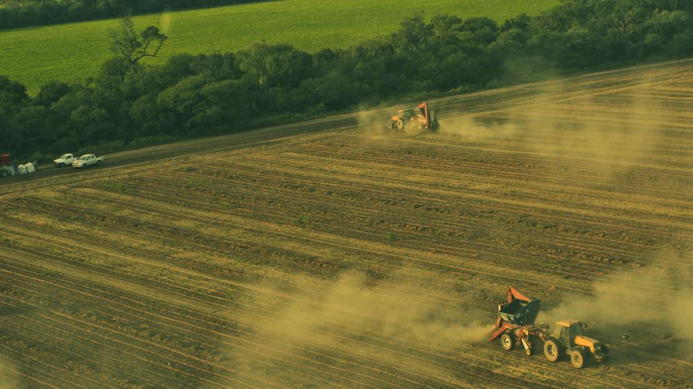 Agricultura