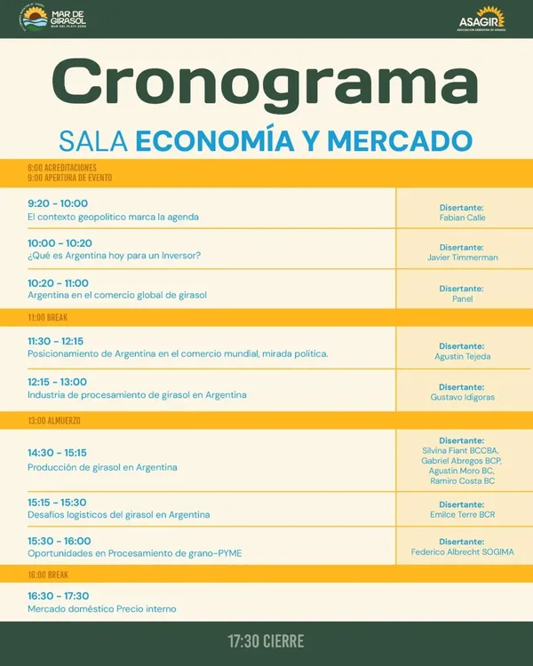 mar de girasol. jpeg