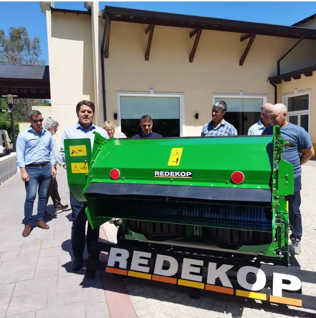 WhatsApp Image 2024-11-19 at 18.52.41