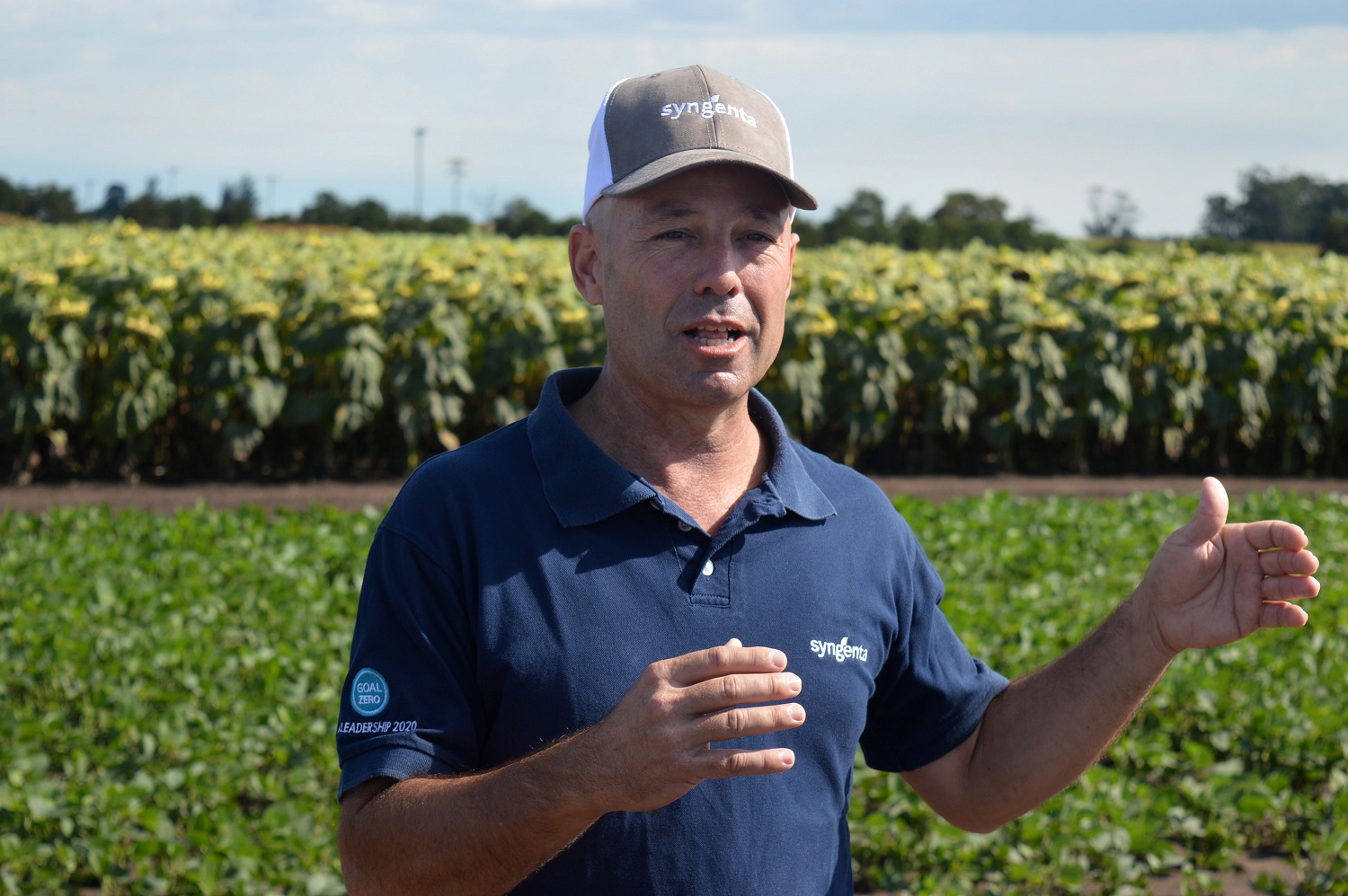 cn -Francisco Perez Brea Gte mkt semillas syngenta