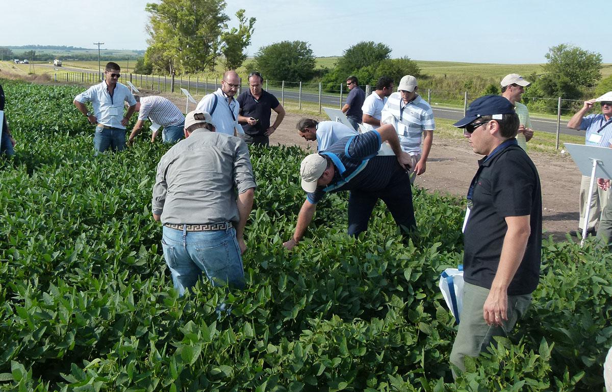 agronomos
