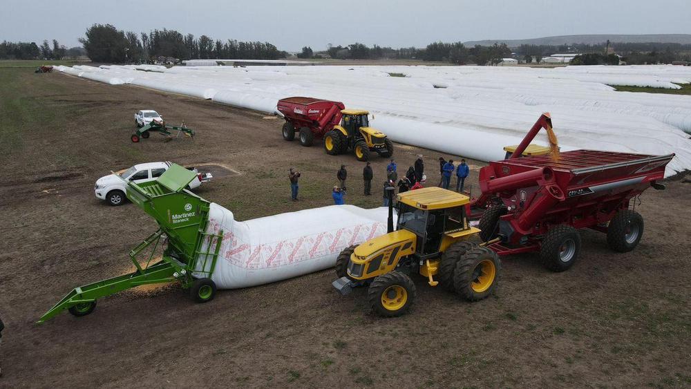 unnamed - 2023-08-22T121725.339