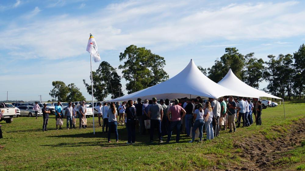 DONMARIOMÁSoja y Maíz genética y manejo para cada ambiente 11.23.42