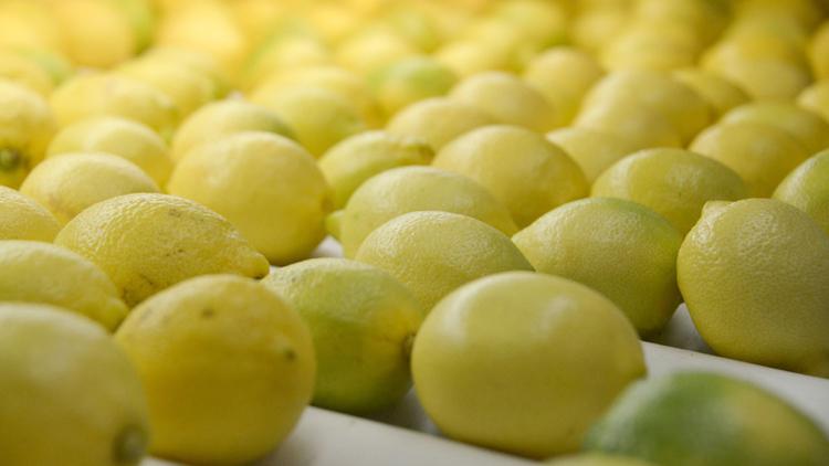 cn-limones