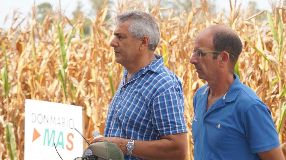 DONMARIOMÁS Soja y Maíz