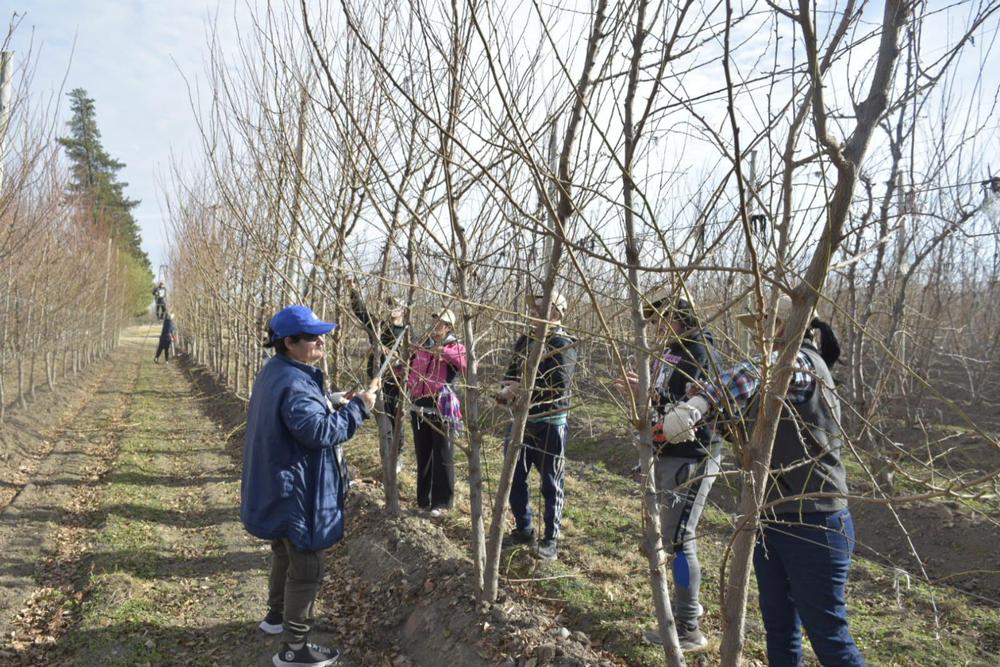 unnamed - 2023-07-07T125201.375