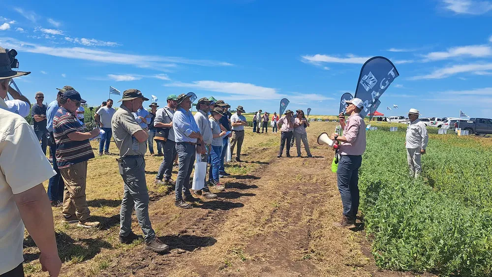 Agustín Cantó presentando Arvejas