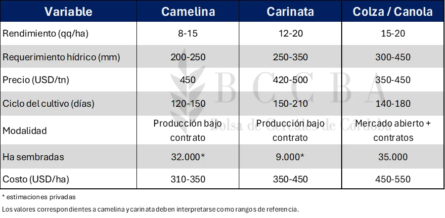 CN-BCBA 3