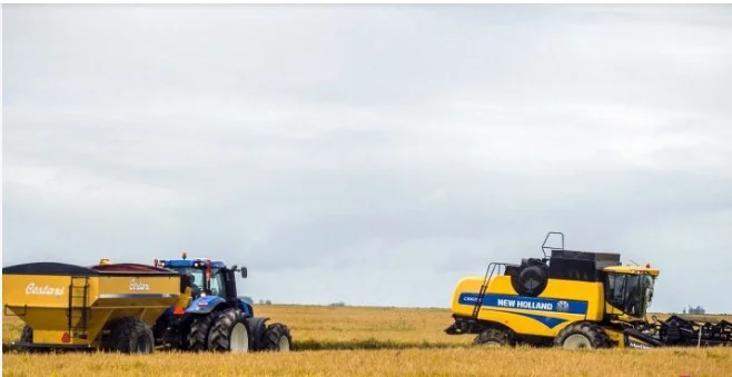 Avnaza cosecha arroz