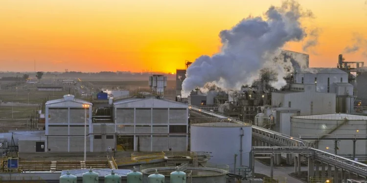 industriaaceitera-750x375