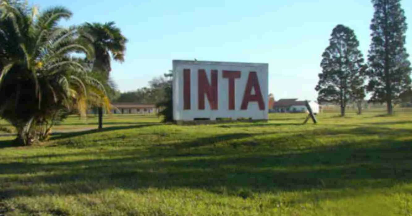 CN-INTA 2
