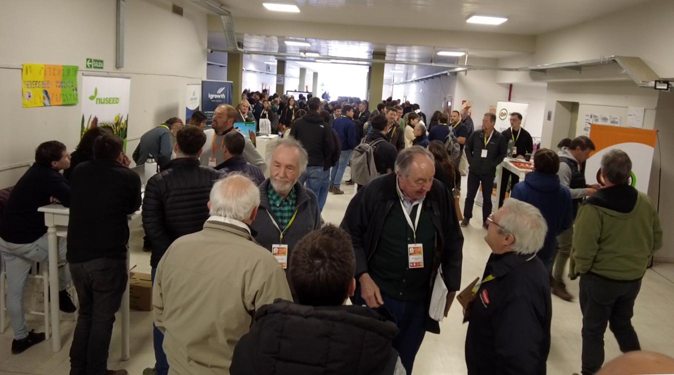 Pasillos Simposio Sorgo