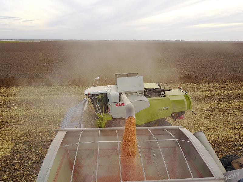 Tucano 570 Maiz (Civalero) AEREAS 15