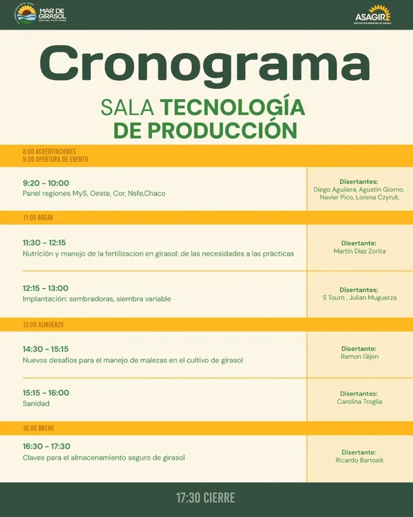 mar de girasol3. jpeg