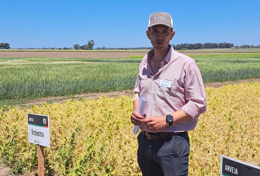 Agustín Canto RAGT Semillas