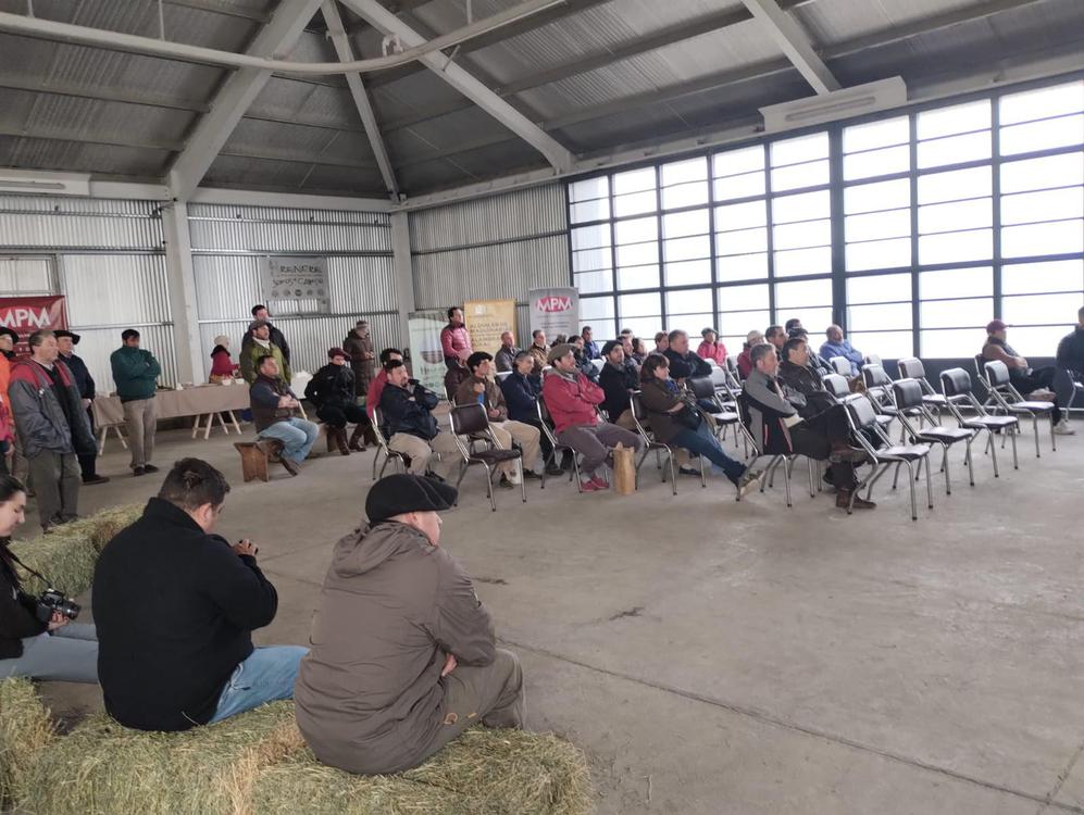 unnamed - 2024-04-29T144926.488