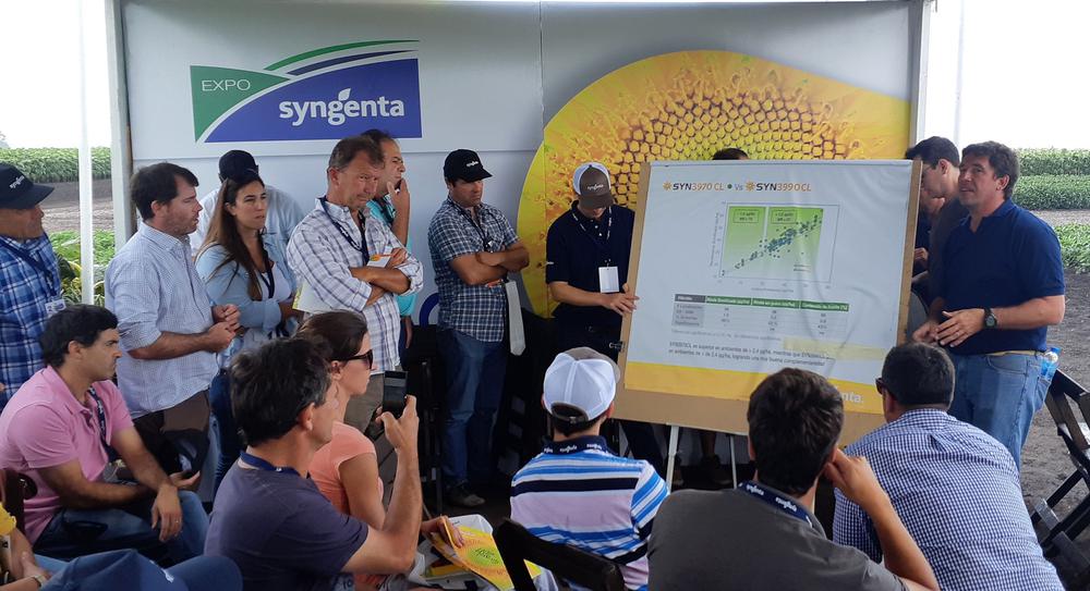cn- syngenta camet 2