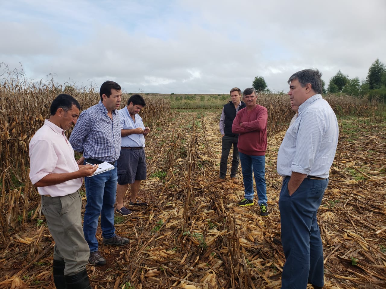 7346c56d-0d30-428e-bd78-a2e15adfa557