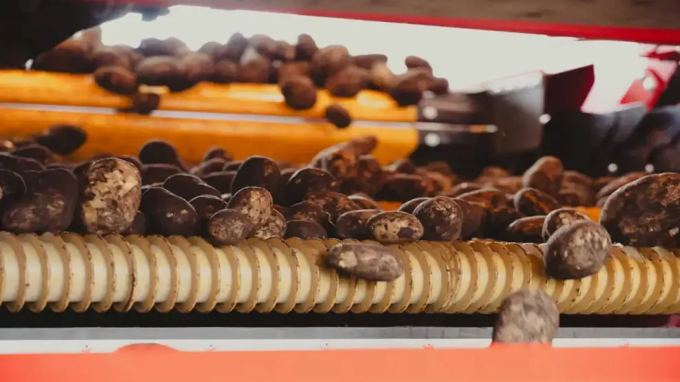 lamb-weston-20250317-1986521