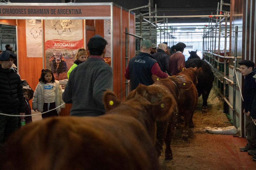 WhatsApp Image 2023-07-22 at 12.09.15