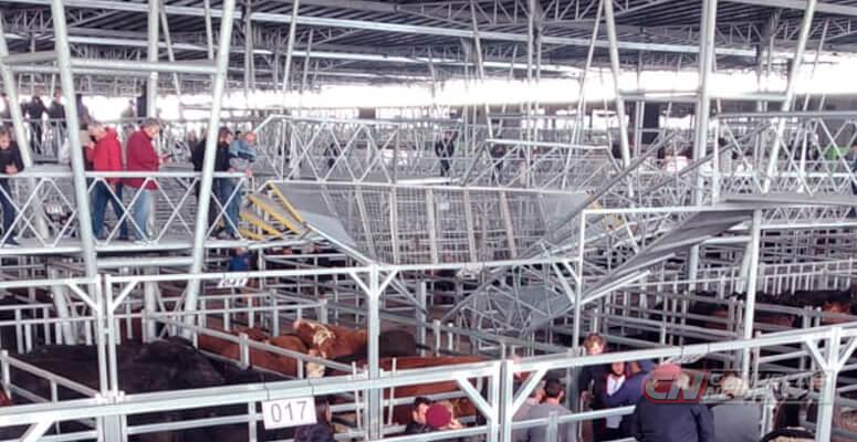 cn- accidente-mercado-agroganadero-pasarelas-canuelas