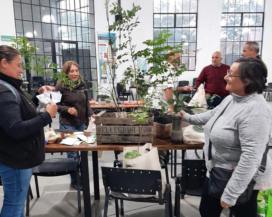 Taller de arbolado 2