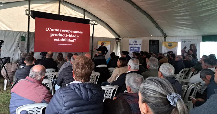 Recuoerar rentabilidad y sustentabilidad que propone CREA