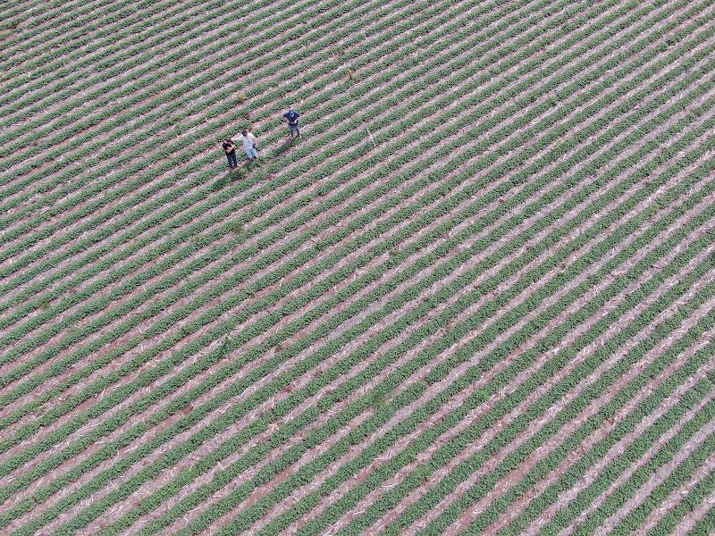 DJI_0931