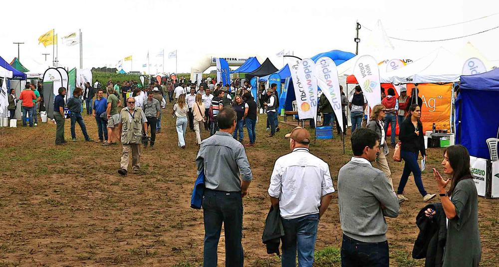 Imagenes del Primer Encuentro Edicion pasada 2