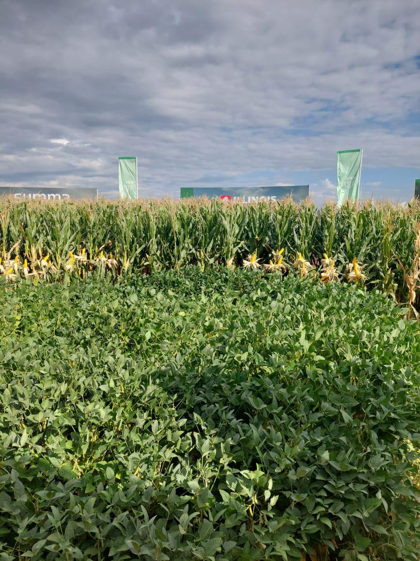 WhatsApp Image 2024-03-08 at 09.44.56