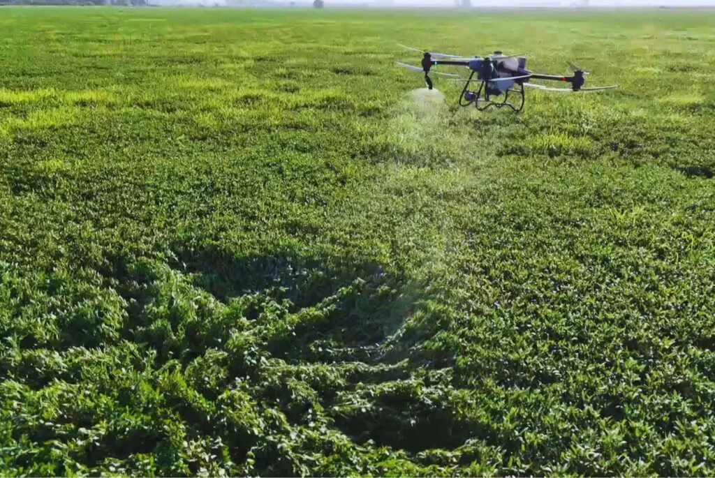Drones
