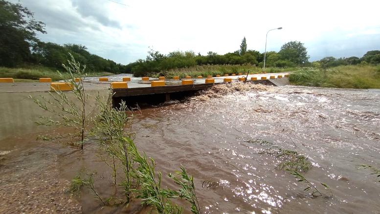 tomasini - destacada (cred Proy PNUD-NID828)